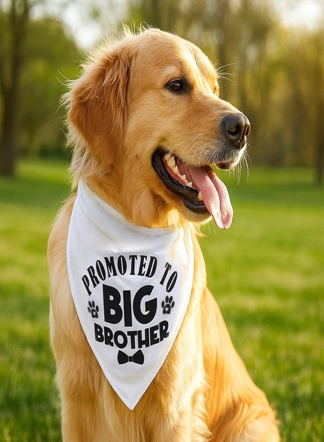 Eldraqth Big Brother Dog Bandana Promoted to Big Brother Dog Bandana Triangle Scarf Bandanas Gender Reveal Props Pet Scarf Accessories for Pet Lovers Gifts - Image 5